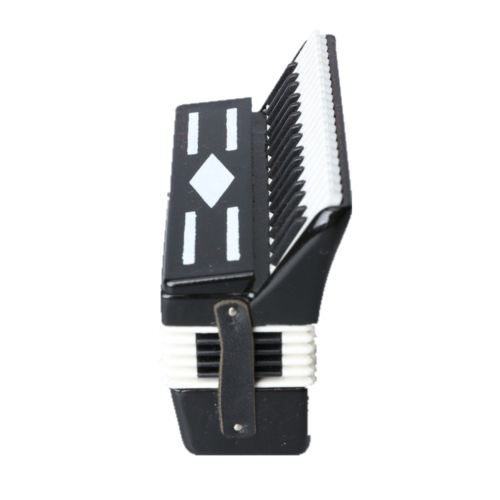 Dselvgvu Miniature Accordion with Case Mini Musical Instrument Accordion Replica Collectible Figurines Dollhouse Accessories Model Home Decoration Display Ornament (Black, 2.76"x2.36"x1.18")