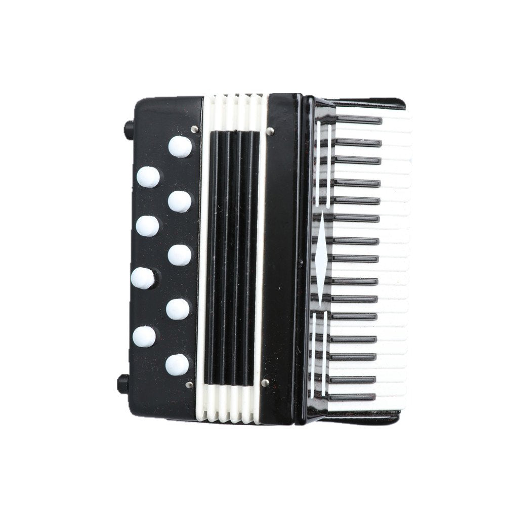 Dselvgvu Miniature Accordion with Case Mini Musical Instrument Accordion Replica Collectible Figurines Dollhouse Accessories Model Home Decoration Display Ornament (Black, 2.76"x2.36"x1.18")