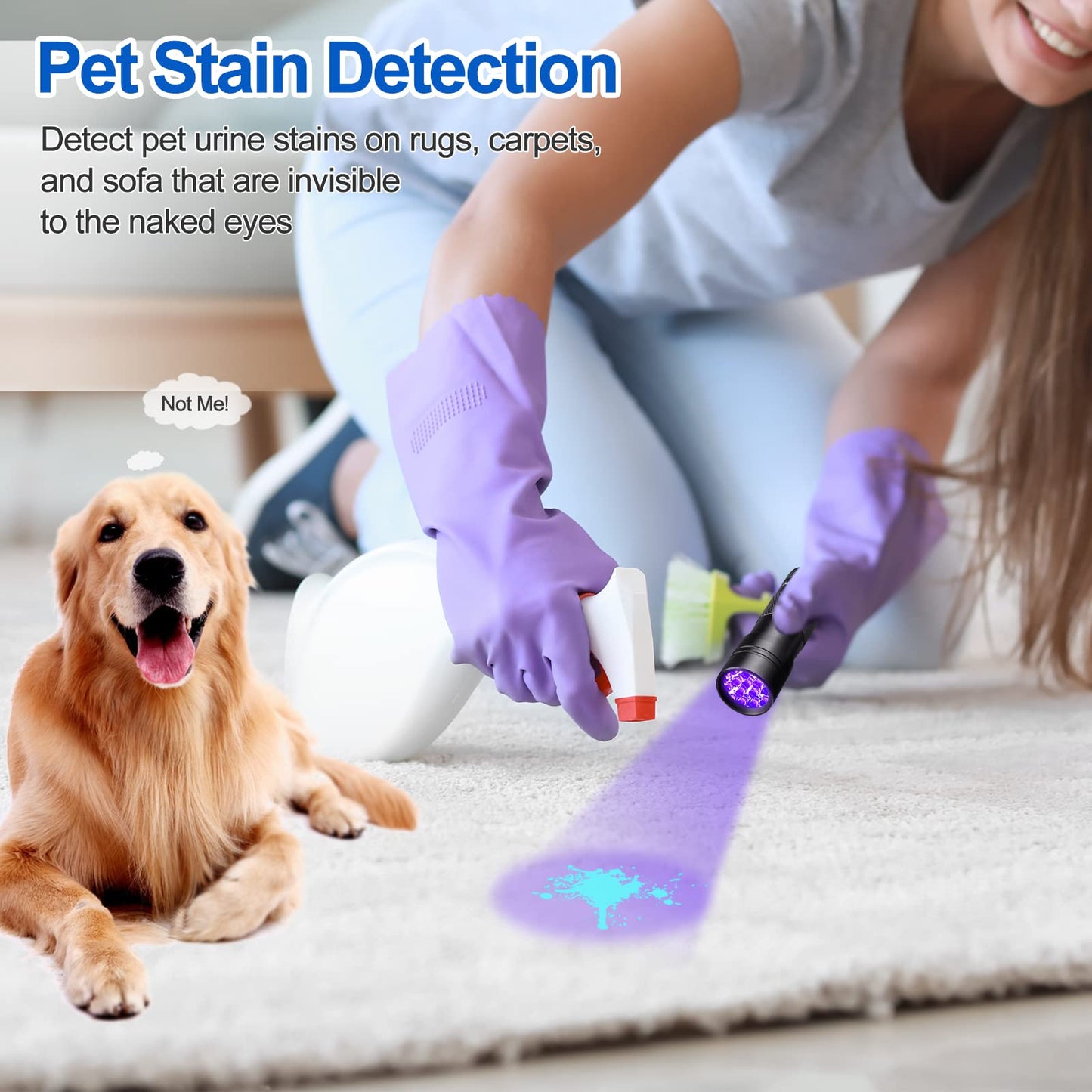 Vansky Black Light UV Flashlight Blacklight 12 LED Urine Detector for Dog/Cat/Pet Urine & Dry Stains and Bed Bug On Carpets/Rugs/Floor,Matching with Pet Odor Eliminator