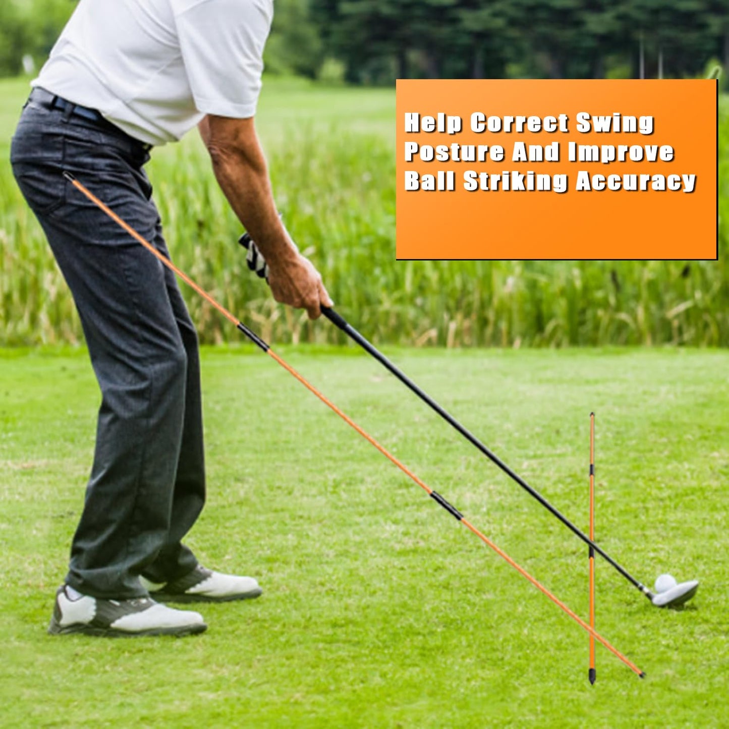 BIRDIEBLAST Professional Collapsible Golf Alignment Sticks, 48" Alignment Golf Stick Ideal for Aiming, Putting and Swing Practice (2)