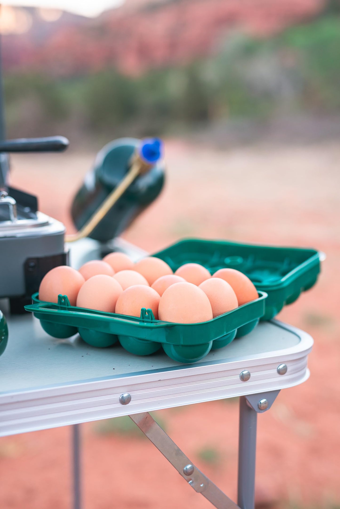 Stansport One Dozen Egg Carrier (266) 7" L x 6.5" W x 3.25" H