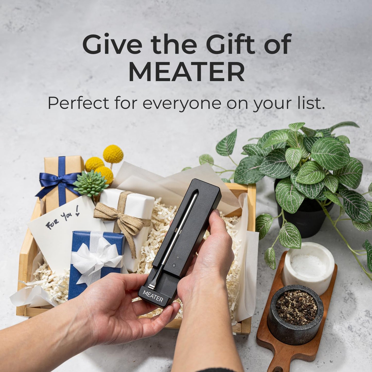 MEATER SE: Smart Bluetooth Meat Thermometer | Long-Range Wireless Probe for Oven, Grilling, Smoking, BBQ & Air Fryer | Dual Sensors & Guided Cook System | Black Charger