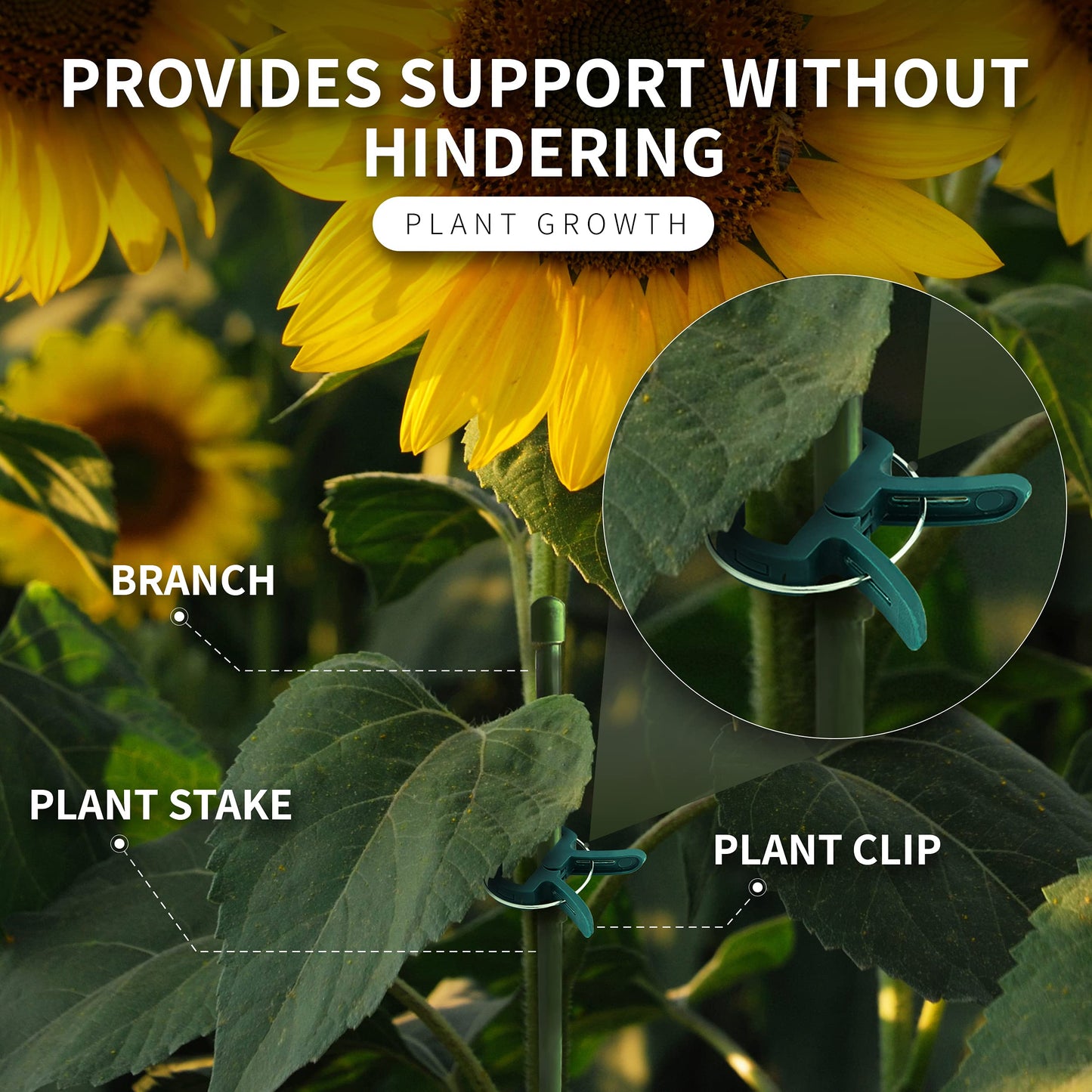 RamPro 40 Piece Green Gentle Gardening Plant & Flower Lever Loop Gripper Clips, Tool for Supporting or Straightening Plant Stems, Stalks, and Vines, Garden Clips