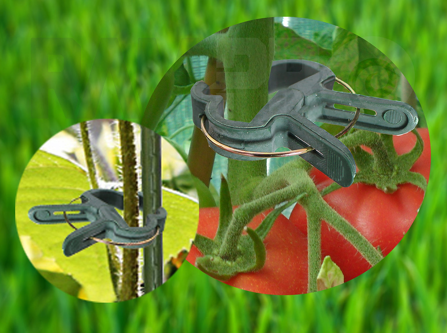 RamPro 40 Piece Green Gentle Gardening Plant & Flower Lever Loop Gripper Clips, Tool for Supporting or Straightening Plant Stems, Stalks, and Vines, Garden Clips