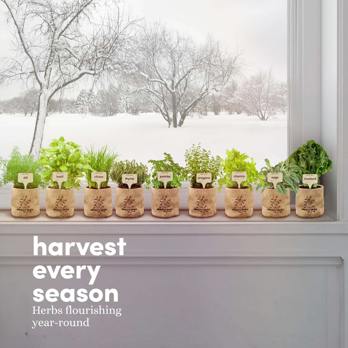 9 Herb Indoor Window Garden Kit - Mother's Day Gift - House Plants Seeds - Best Unique Gift Ideas for Women, Mom, Friend, Her, Birthday, Housewarming, Mother - New Home Kitchen Gifts