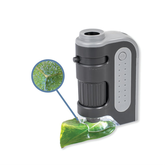 Carson MicroBrite Plus 60x-120x LED Lighted Pocket Microscope, Portable Handheld Microscope STEM Toy, Mini Microscope for Student Science Lab, Educational Portable Microscope (MM-300)