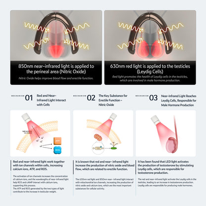 KAISAR Male Urinary Wearable Device Using red Light and Near-Infrared Light