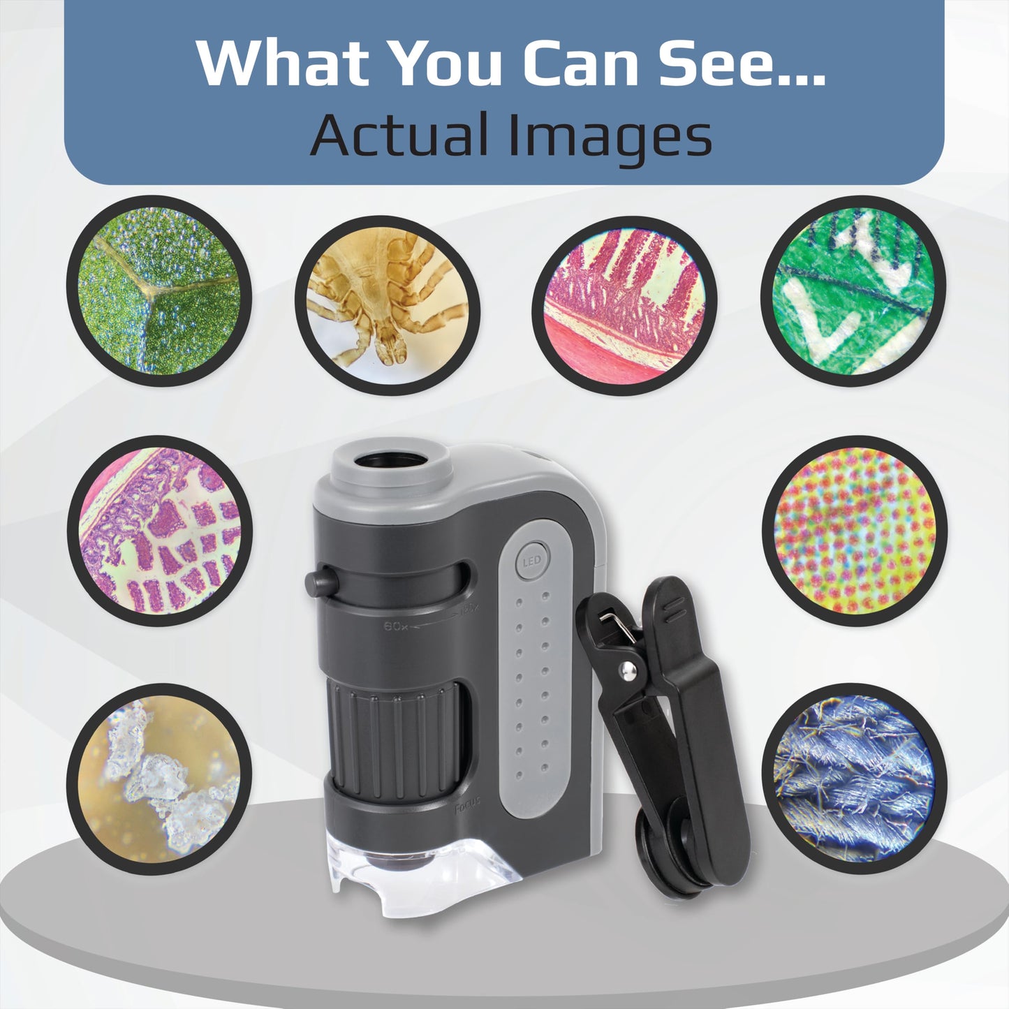 Carson MicroBrite Plus 60x-120x LED Lighted Pocket Microscope, Portable Handheld Microscope STEM Toy, Mini Microscope for Student Science Lab, Educational Portable Microscope (MM-300)