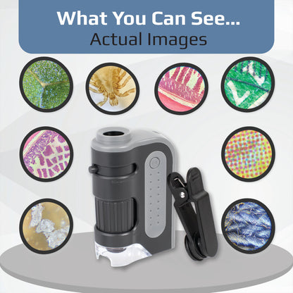 Carson MicroBrite Plus 60x-120x LED Lighted Pocket Microscope, Portable Handheld Microscope STEM Toy, Mini Microscope for Student Science Lab, Educational Portable Microscope (MM-300)