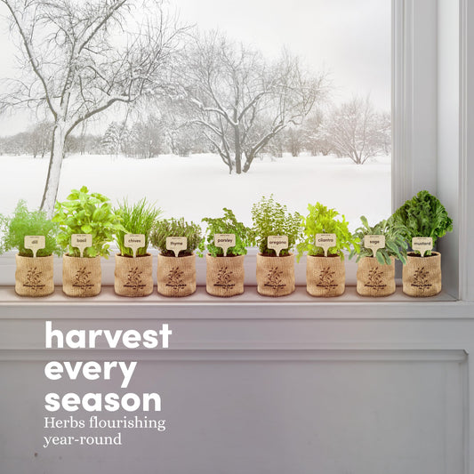 9 Herb Indoor Window Garden Kit - Mother's Day Gift - House Plants Seeds - Best Unique Gift Ideas for Women, Mom, Friend, Her, Birthday, Housewarming, Mother - New Home Kitchen Gifts