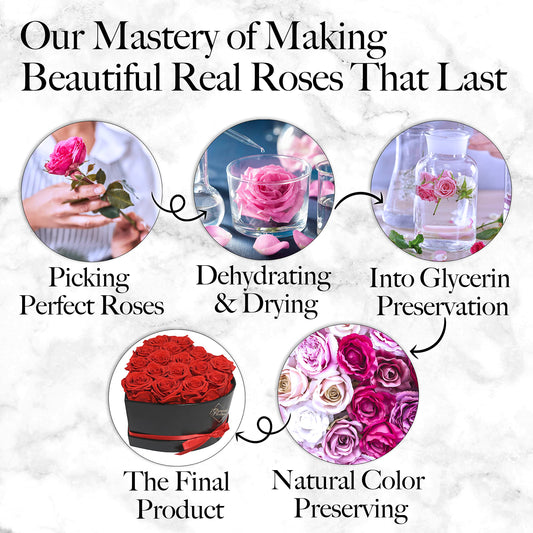 GLAMOUR BOUTIQUE 16 Flower Forever Heart Shape Box - Preserved Roses Gift for Her, Preserved Flowers, Red